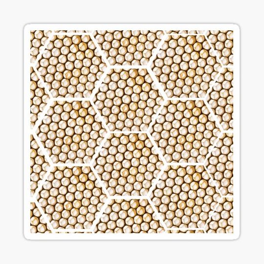 Discover Honey Combs up close picture bees