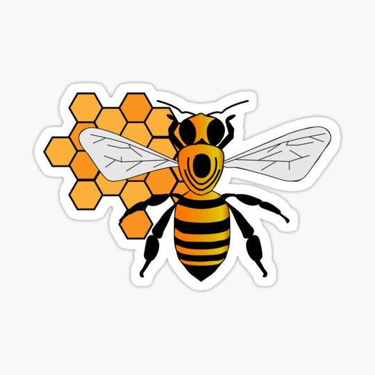 Discover Bee with honeycomb