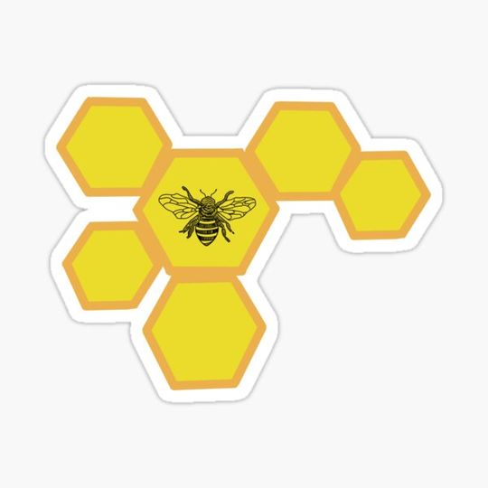 Discover Bee in Honeycomb