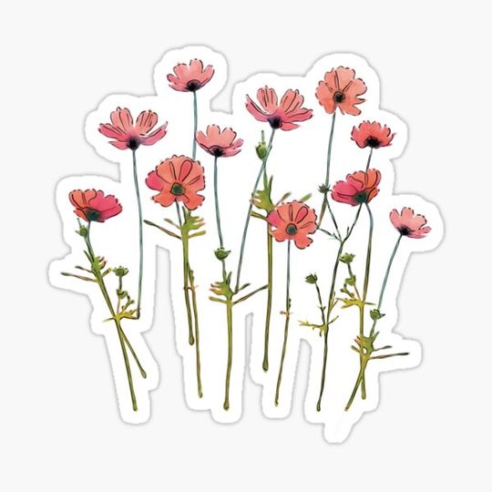 Discover Red Cosmos Flowers Watercolor