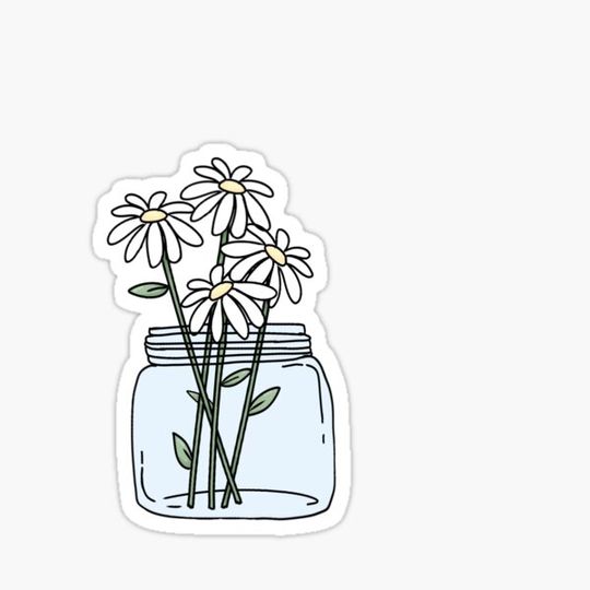 Discover Flowers/daises in mason jar
