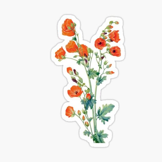 Discover Small wild flower bouquet