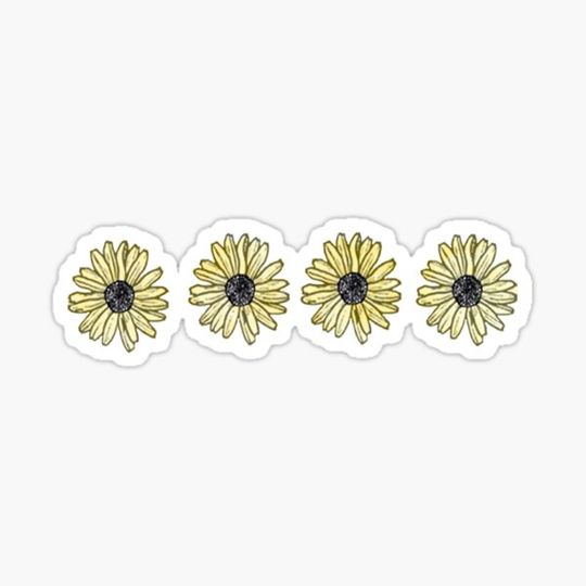 Discover Flowers