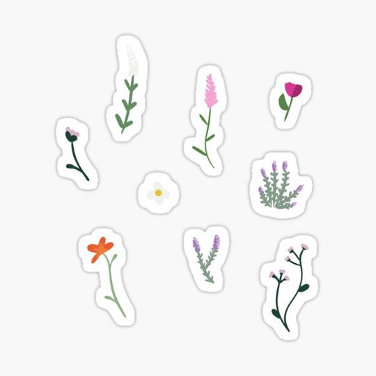 Discover Wild flower pack