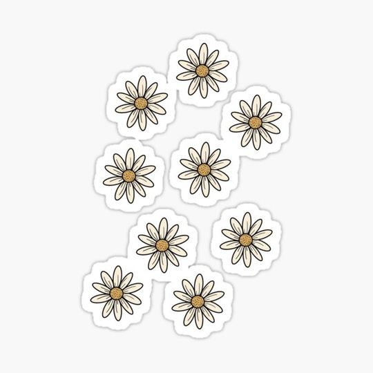 Discover Daisies