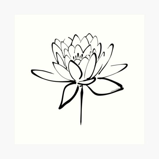 Discover Lotus Calligraphy (Black)