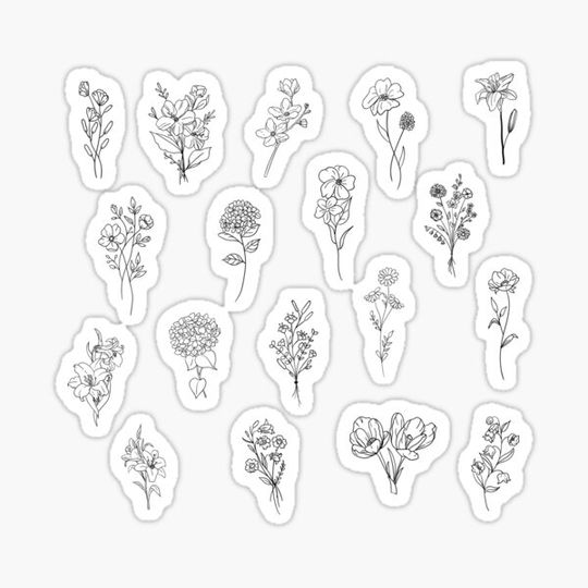 Discover Handdrawn Wildflower Stickers