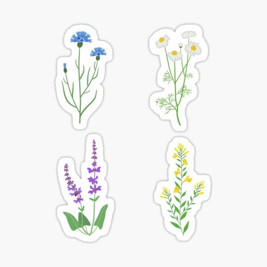 Discover Wildflower Pack
