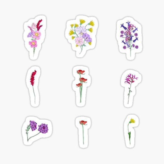 Discover Wildflowers watercolor mini
