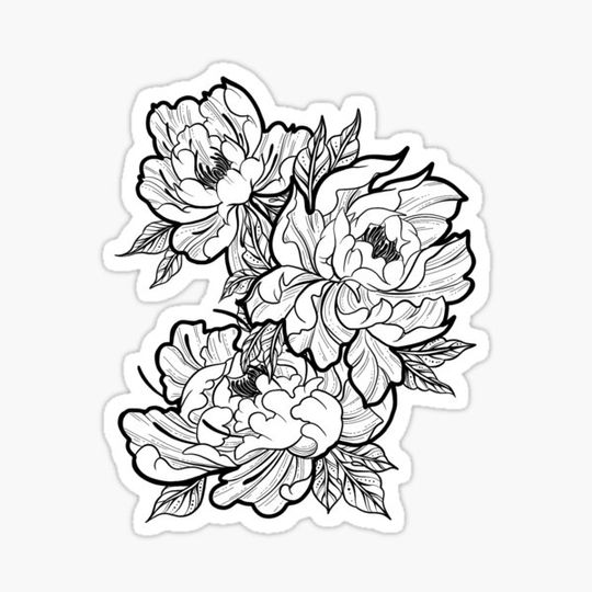 Discover Traditional Peonies