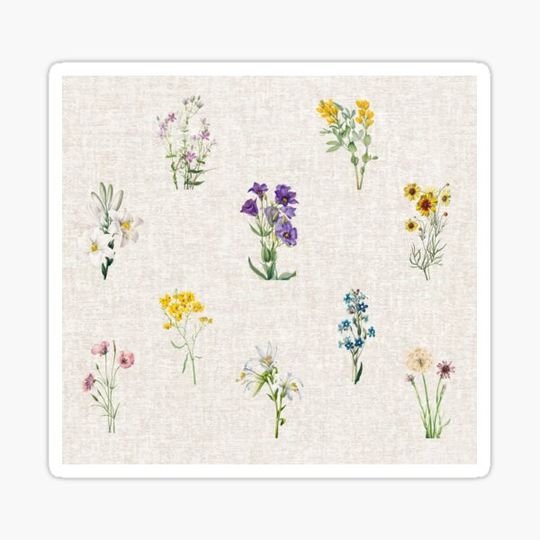 Discover Flower Garden