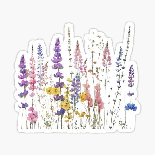 Discover Pastel Natural Wildflowers