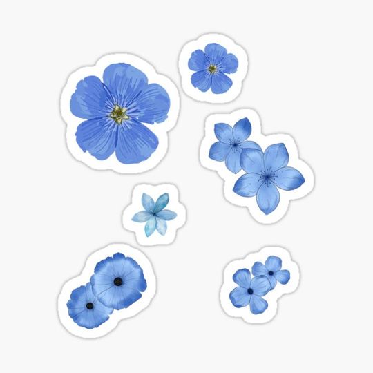 Discover Little blue flowers