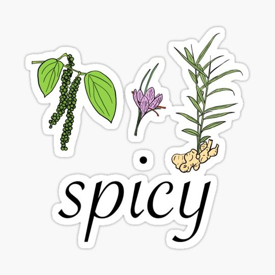 Discover Spicy Spice Plants