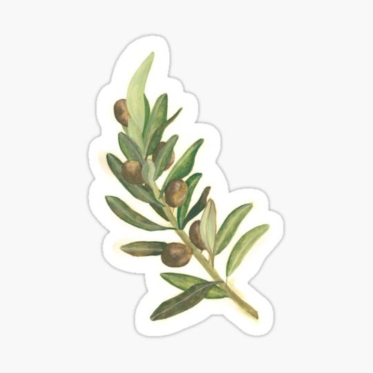 Discover Olive Branch