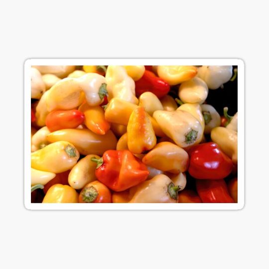 Discover Paprika Heaven