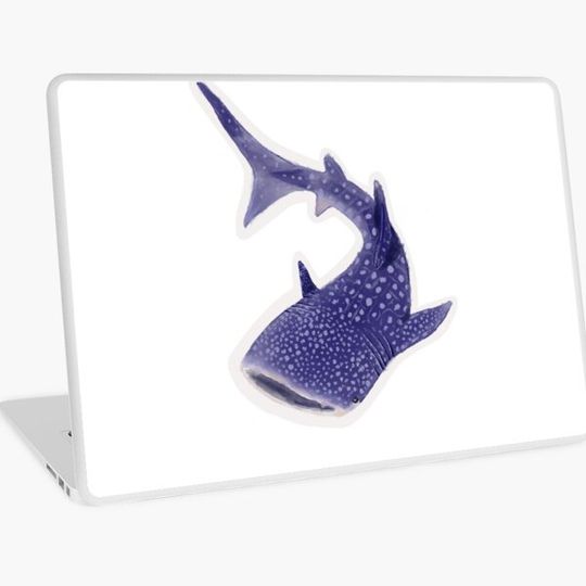 Discover Whale shark