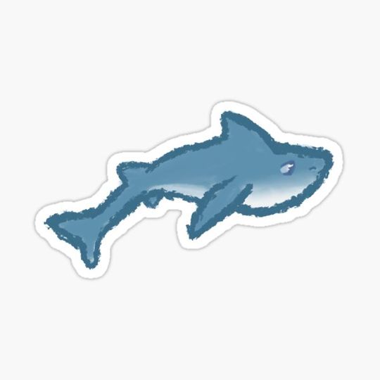 Discover Shark