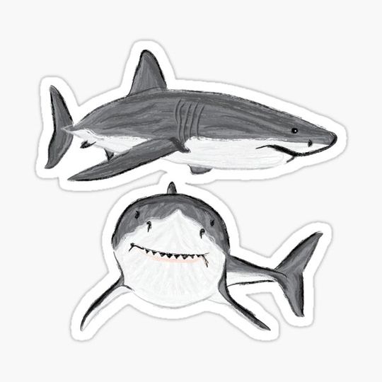 Discover Artwork of a Great White Shark V