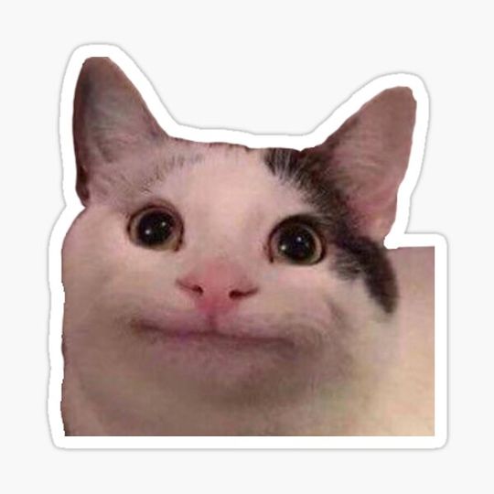 Discover Extra small polite cat sticker