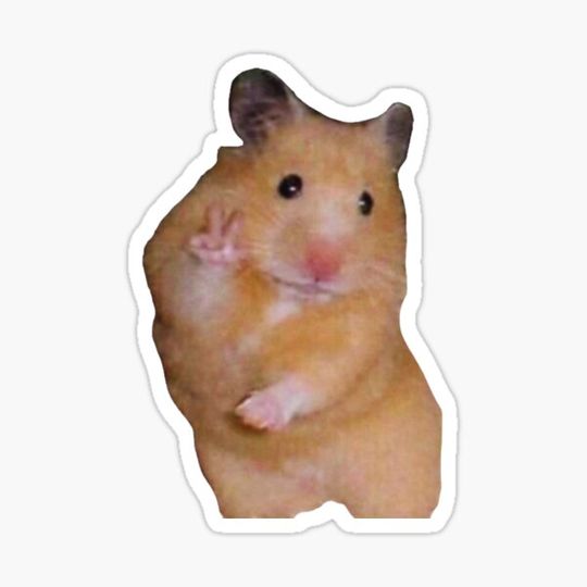 Discover Hamster Design