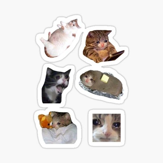 Discover Sad cat meme stickers