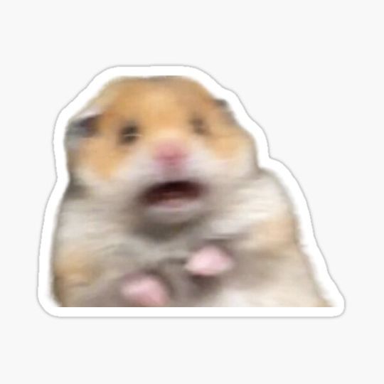 Discover Scared Hamster Sticker