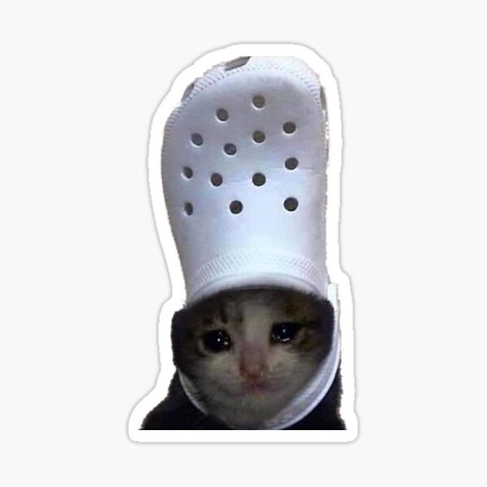 Discover Crying Cat Croc Meme Sticker