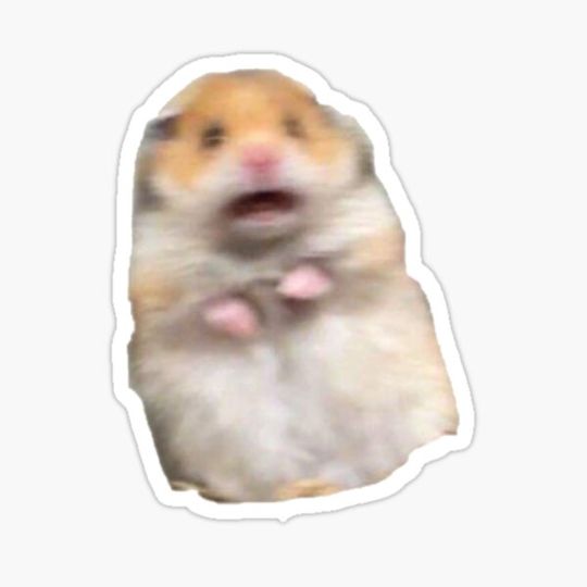 Discover Screaming Hamster