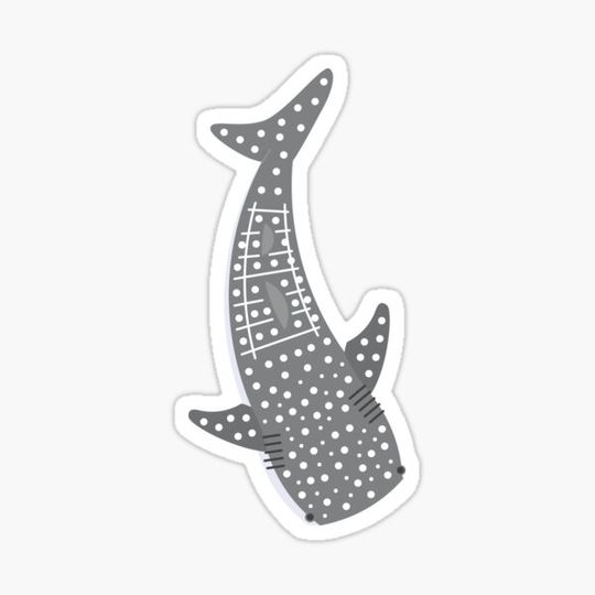 Discover Swimming Whale Shark