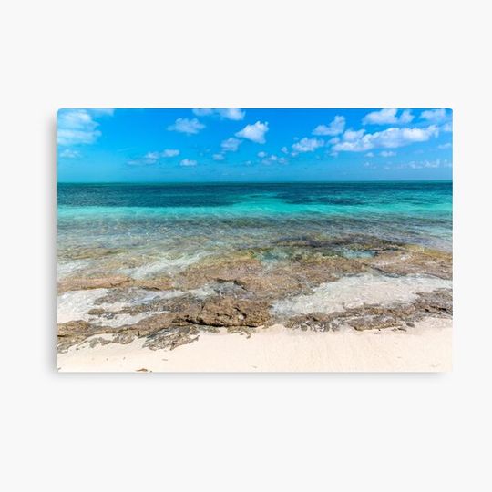 Discover Coral Reef Beach