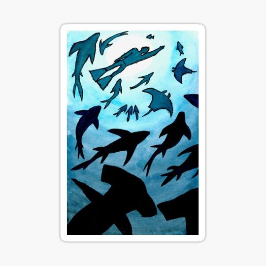 Discover Diving with Sharks
