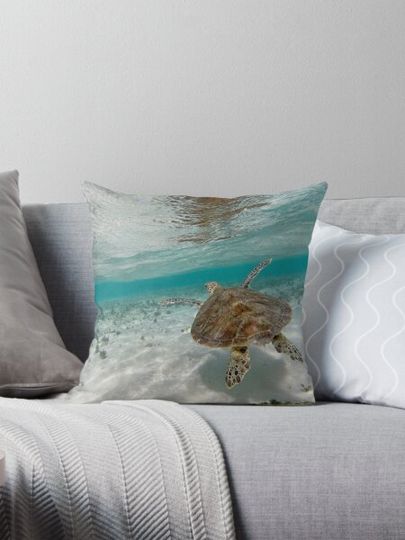 Discover Flying Turtle on the Great Barrier Reef