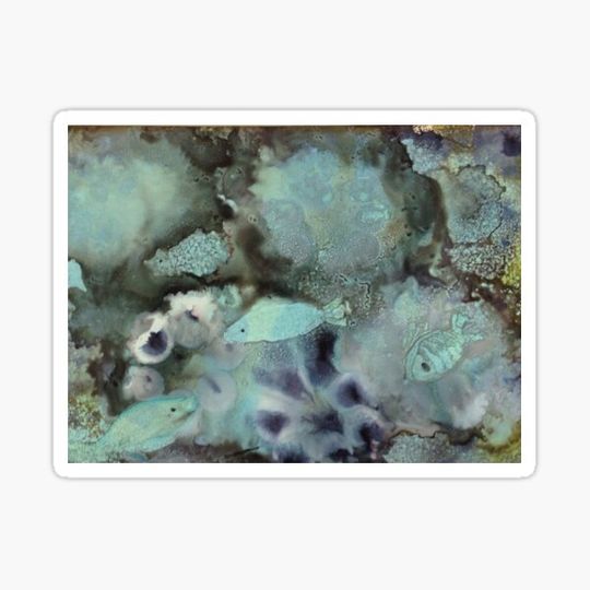 Discover The Coral Reef