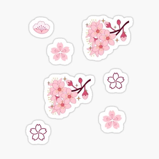 Discover Sakura Flowers