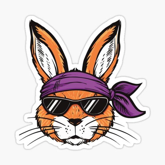 Discover Urban Rabbit