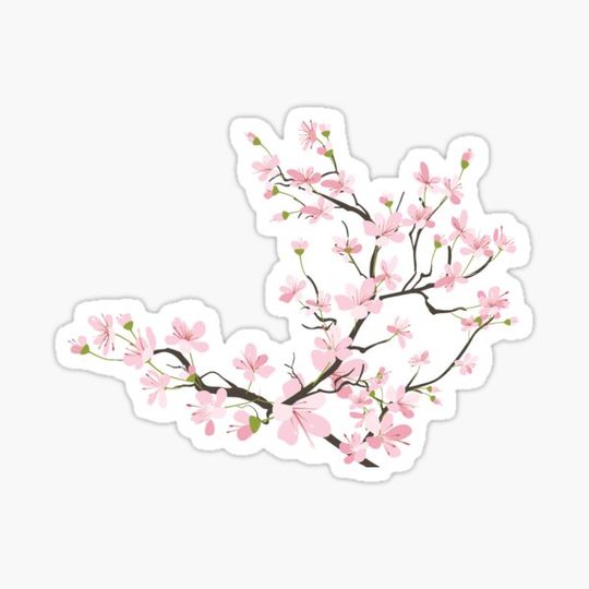 Discover Cherry blossom