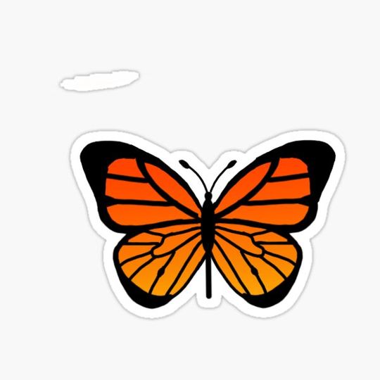 Discover Orange Monarch Butterfly