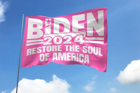 Discover Biden Harris 2024 Truth House, Hope, Decency House Flag, America Election Flag