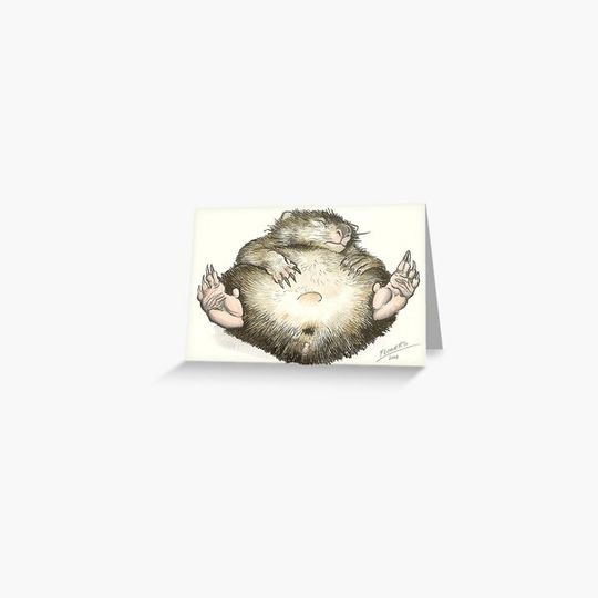 Discover Lazy Wombat