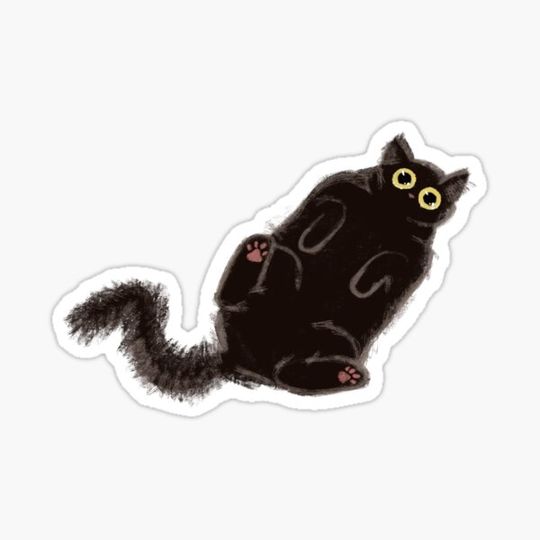 Discover Zooted Cat