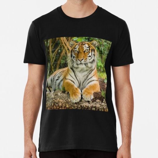 Discover Chilled Out Tiger