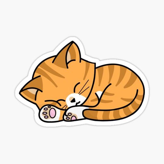 Discover Orange Tabby - Sleeping