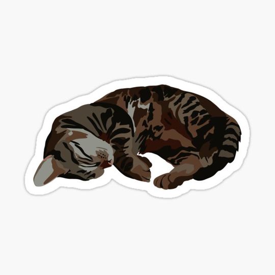 Discover Sleeping Tabby Cat
