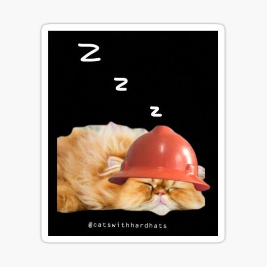 Discover Sleeping Cat