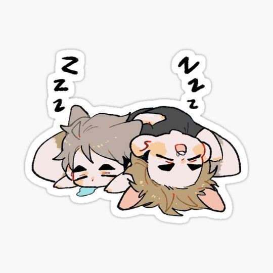 Discover SLEEPING FOXES
