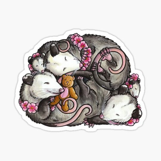 Discover Sleeping Opossums
