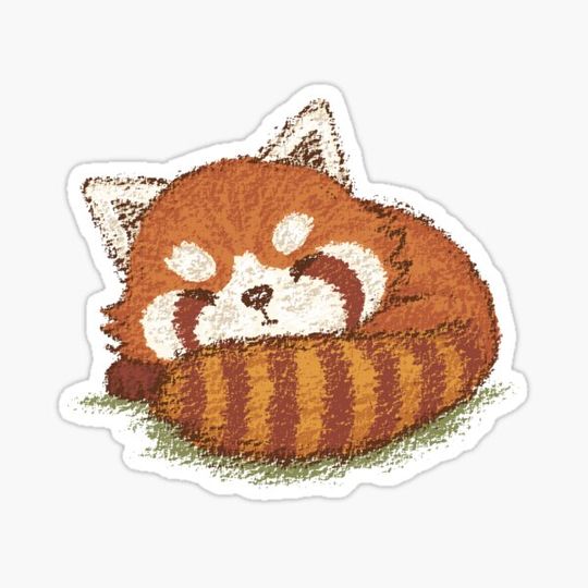 Discover Red panda sleeping