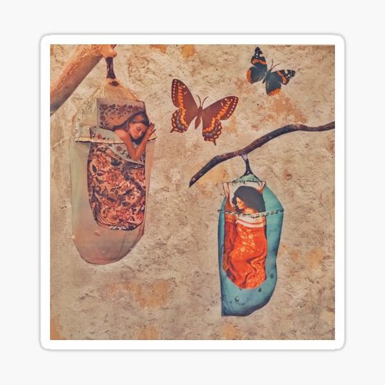 Discover Cocoons