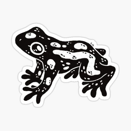 Discover Poison Dart Phrog